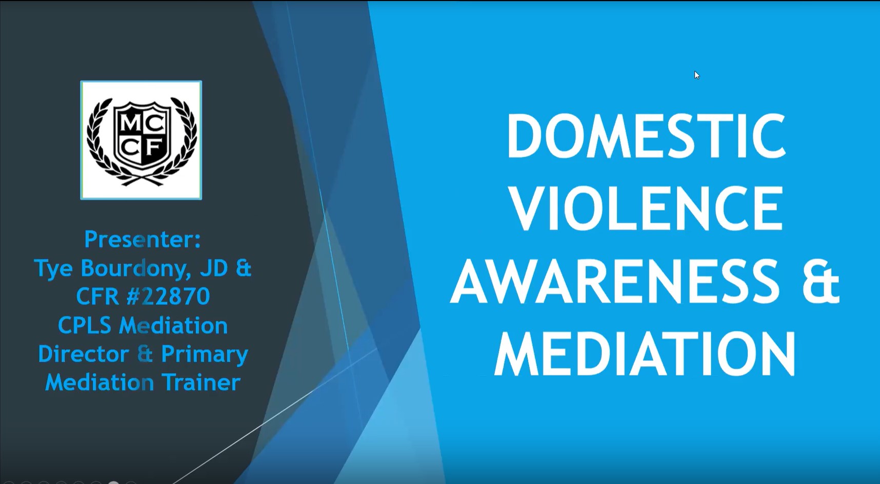 PREMIUM Domestic Violence Awareness & Mediation with Tye Bourdony